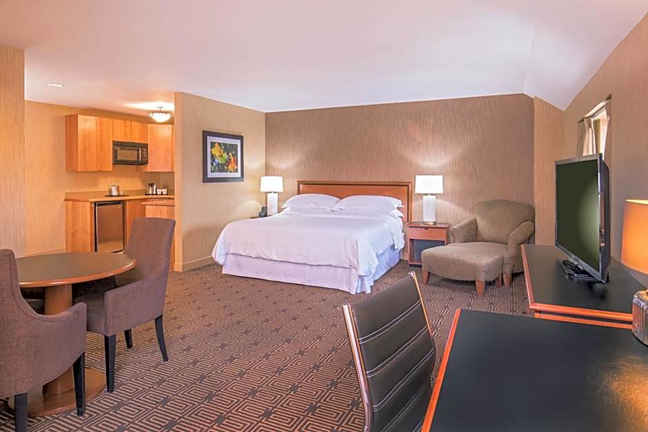 Sheraton Springfield Monarch Place Hotel