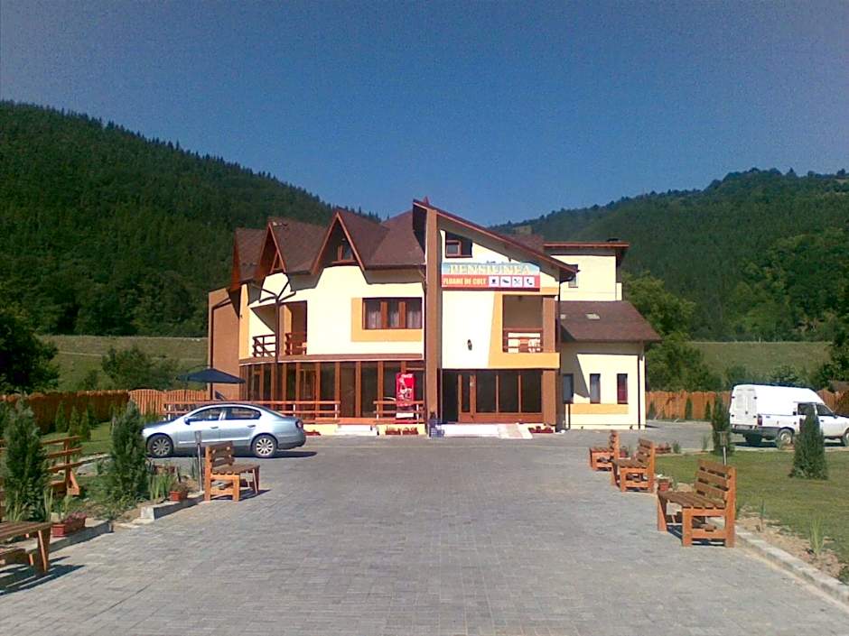Pensiunea Floare de Colţ