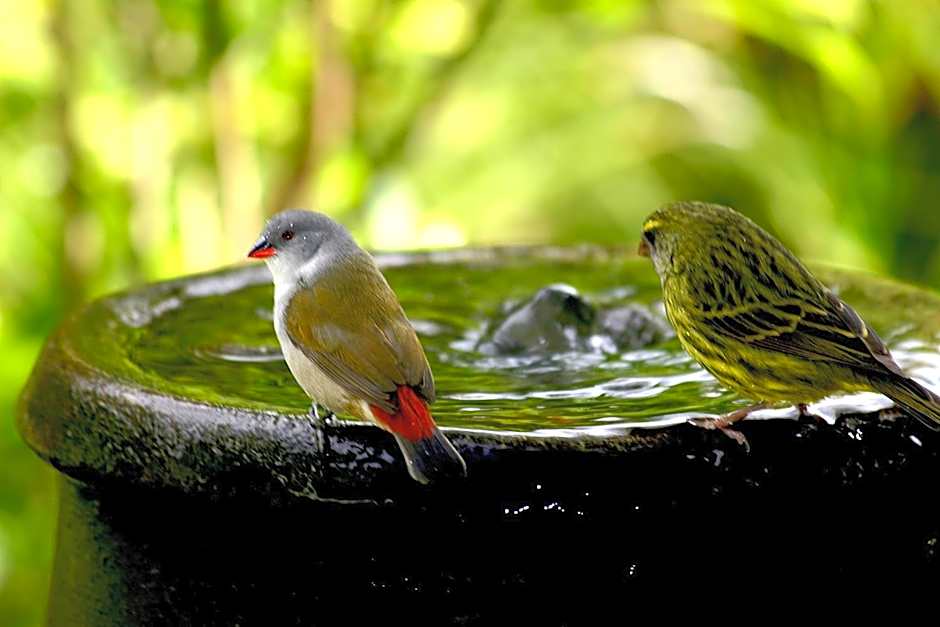 Serendipity Country House & Restaurant