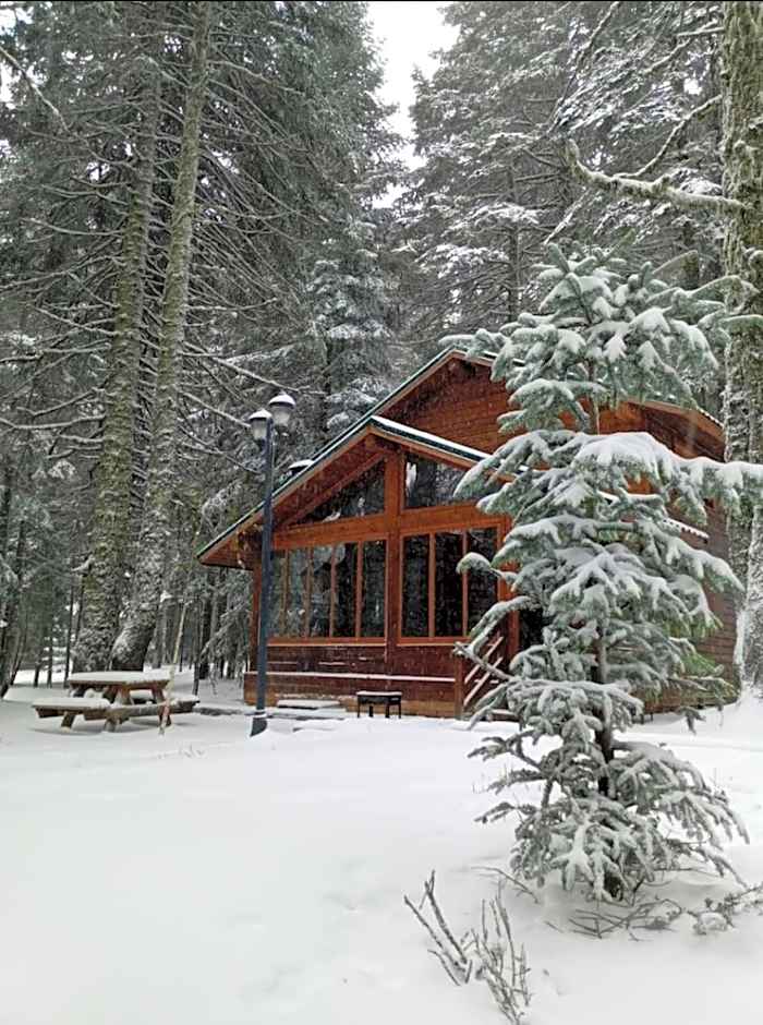 Karinna Orman Evleri