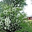 Kullens Bed and Breakfast