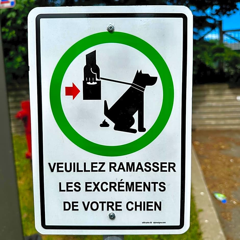 INITIAL - Évasion 107- Chutes-Montmorency