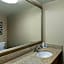 Comfort Inn Lansing West