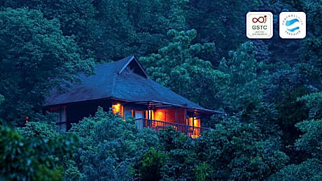 The Tamara Coorg