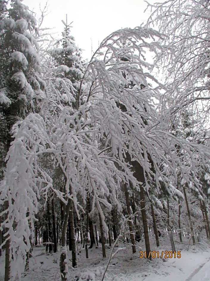 B&B Au fil des saisons sur la Wiels