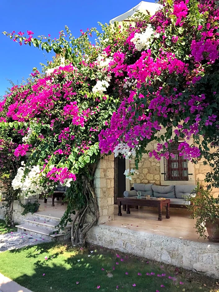Alacati Zeytin Konak Hotel