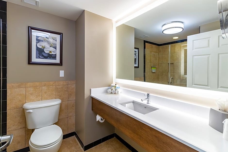 Holiday Inn Express Savannah - Historic District, an IHG Hotel