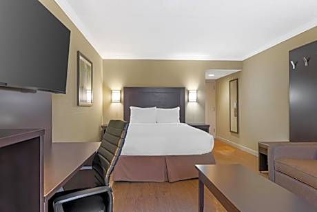 1 Queen Bed Non-Smoking Second Floor Wi-Fi Sofabed Work Desk Microwave Refrigerator Full Breakfast