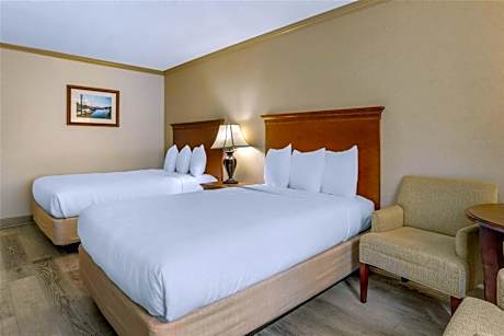 Double Room with Two Double Beds