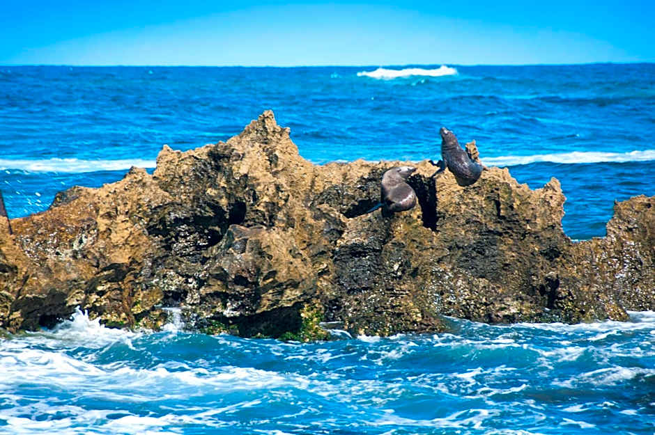 Lakeview Motel & Apartments