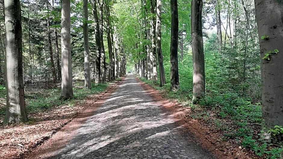 Luxe Natuurhuisje met jacuzzi en haard in Drenthe, ECHTEN