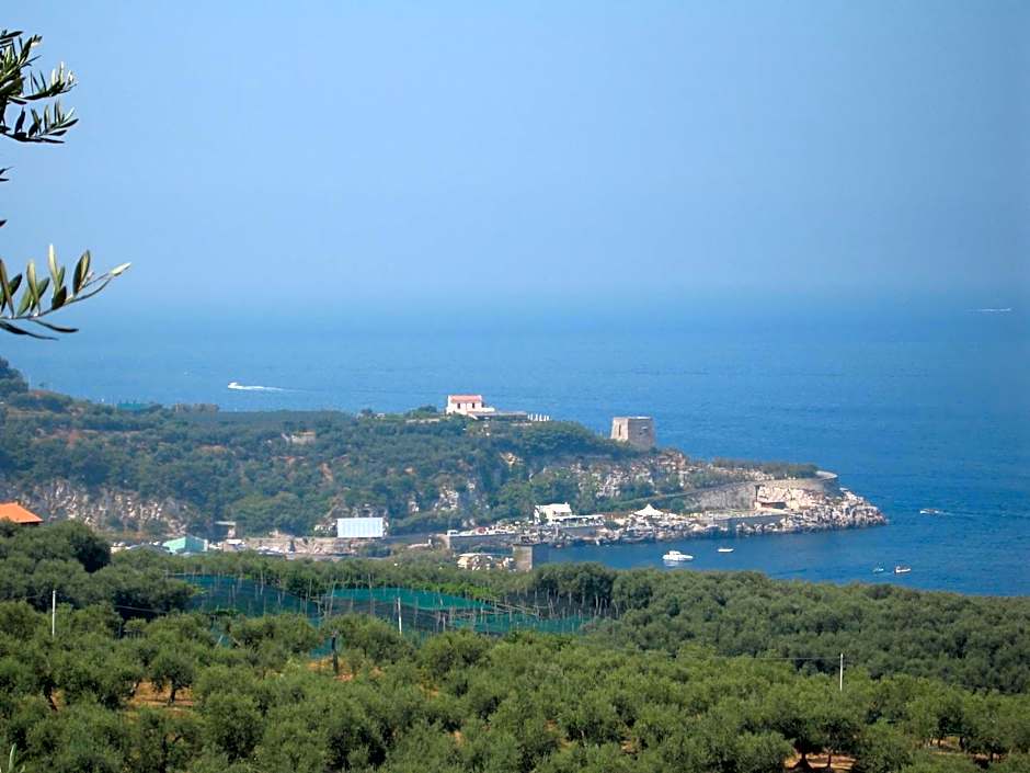 Hotel Villa Igea