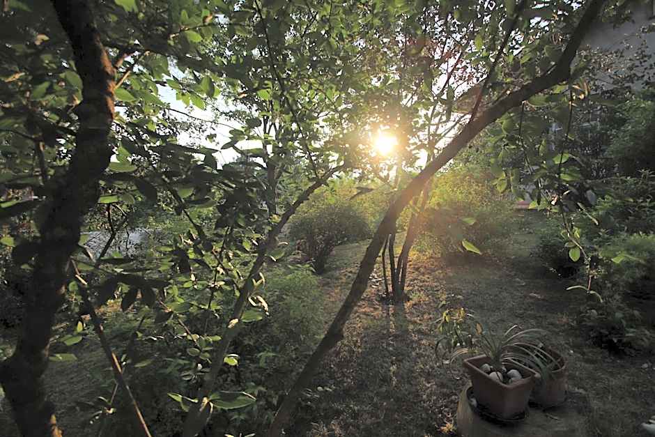 La Casa nel Bosco