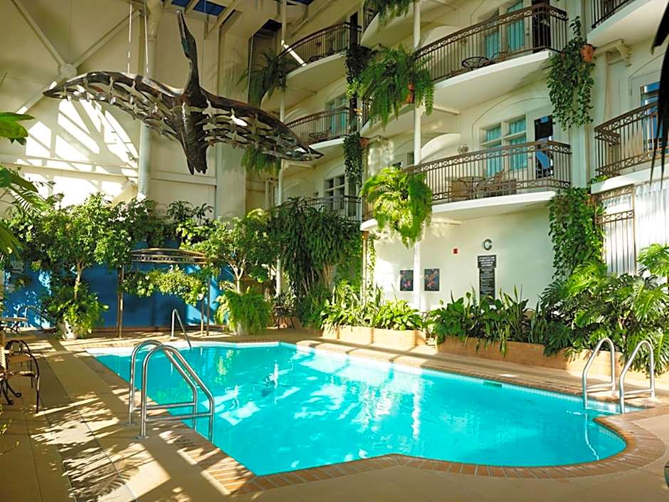 Hotel L'Oiseliere Levis