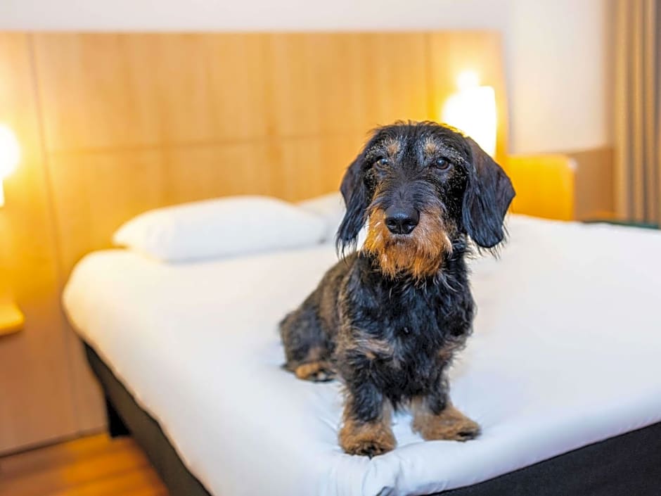 ibis Antwerpen Centrum