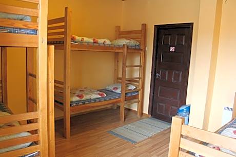 Bed in 4-Bed Mixed Dormitory Room