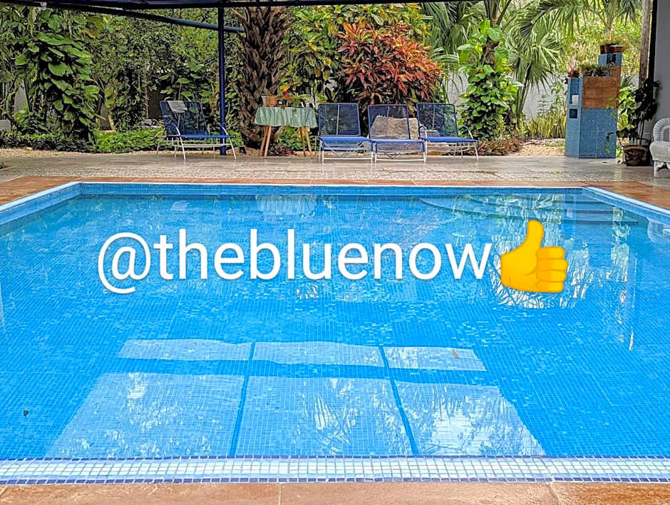 The Blue Eco Lodge