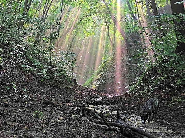 Hotel Spichlerz Pierwszy SPA & WELLNESS