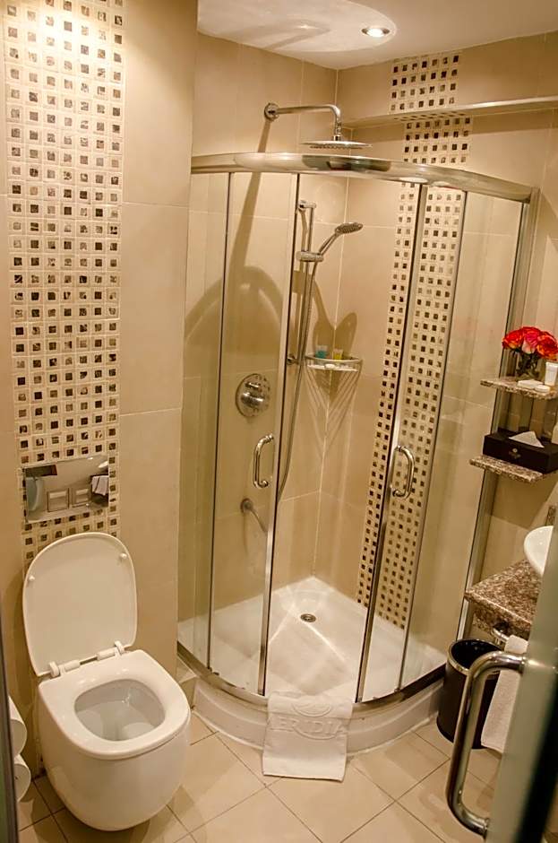 Best Western Plus Meridian Hotel