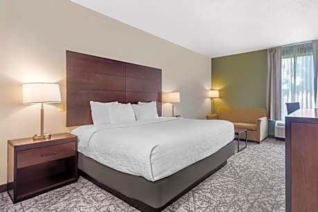 King Room - Non-Smoking