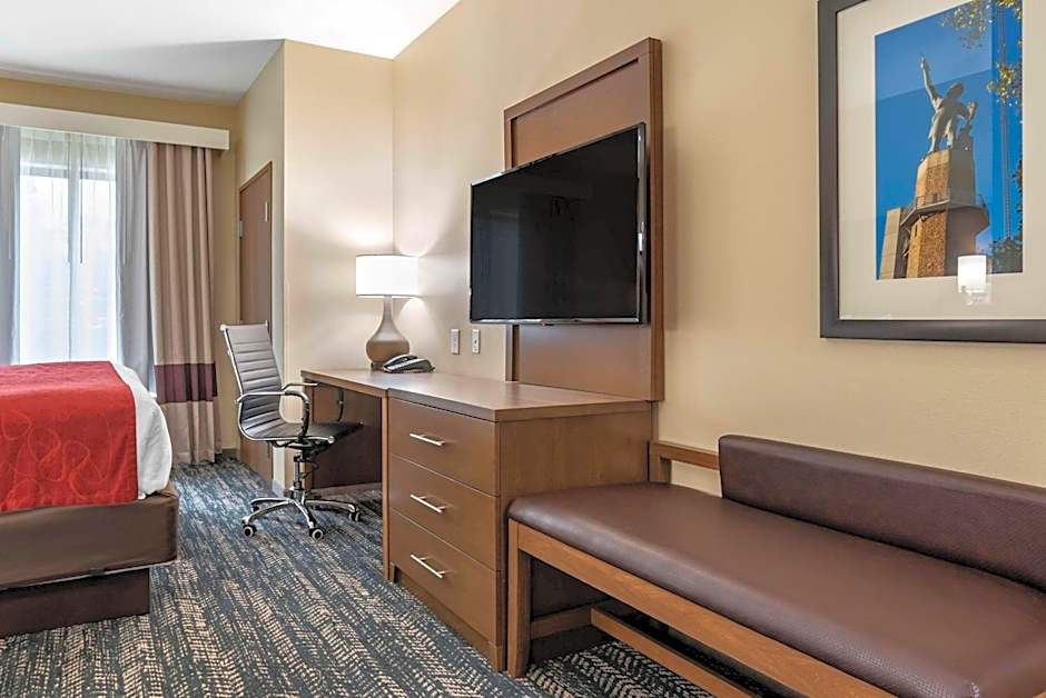 Comfort Inn & Suites Downtown near University