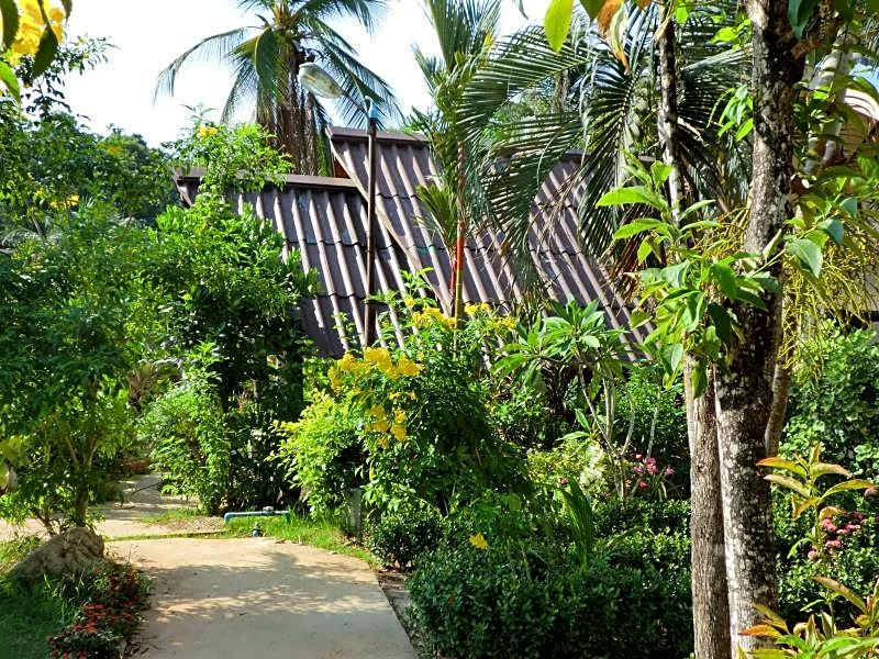 The Krabi Forest Homestay
