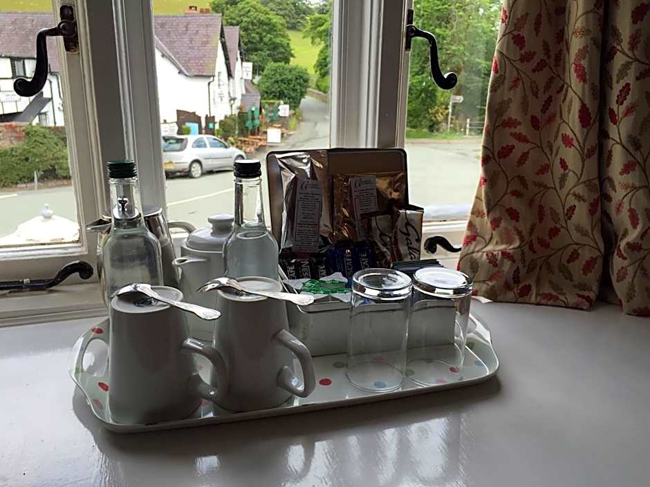 The Hand at Llanarmon