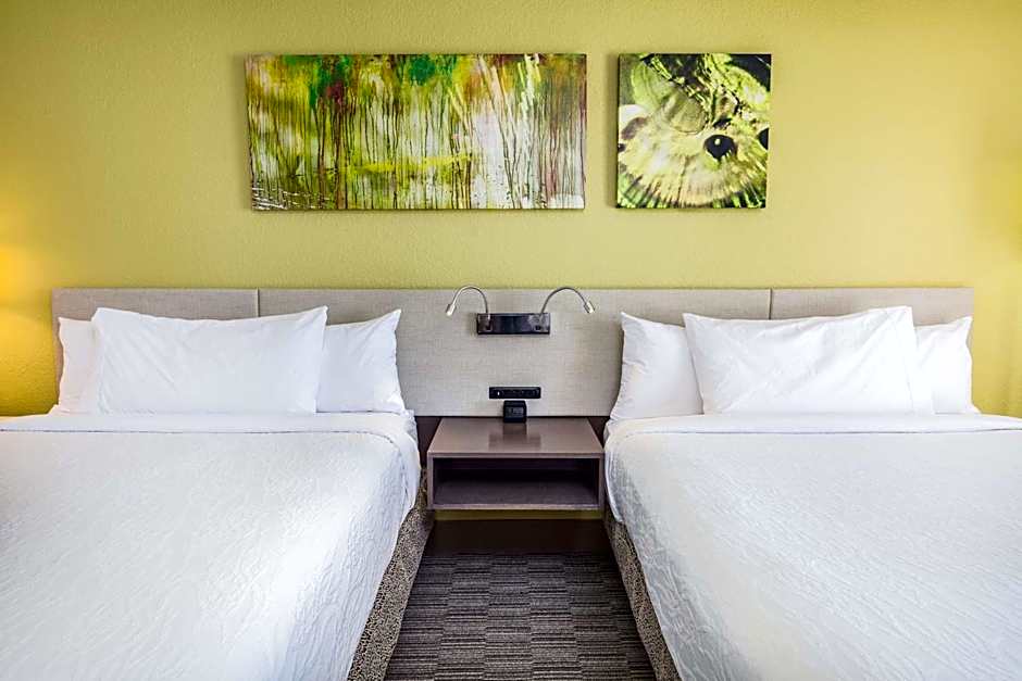 Hilton Garden Inn Orange Beach
