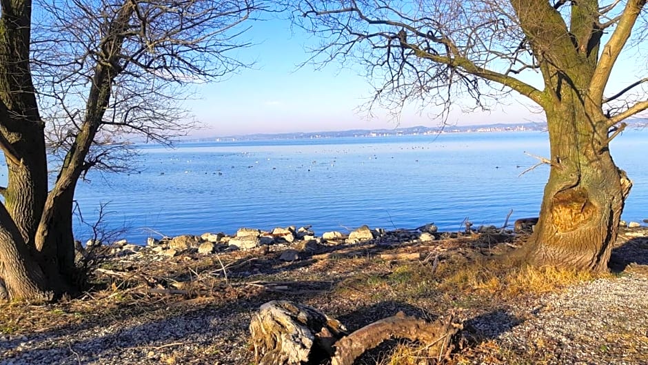 Hotel am See