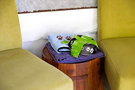 King Room with Balcony - Pet Friendly