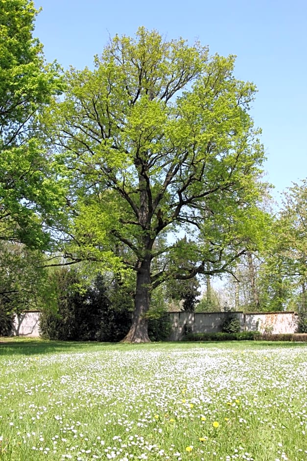 Storica Quercia B&B – Nerviano, DC