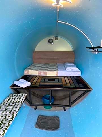 Cameron Highlands Blueberry Earth House