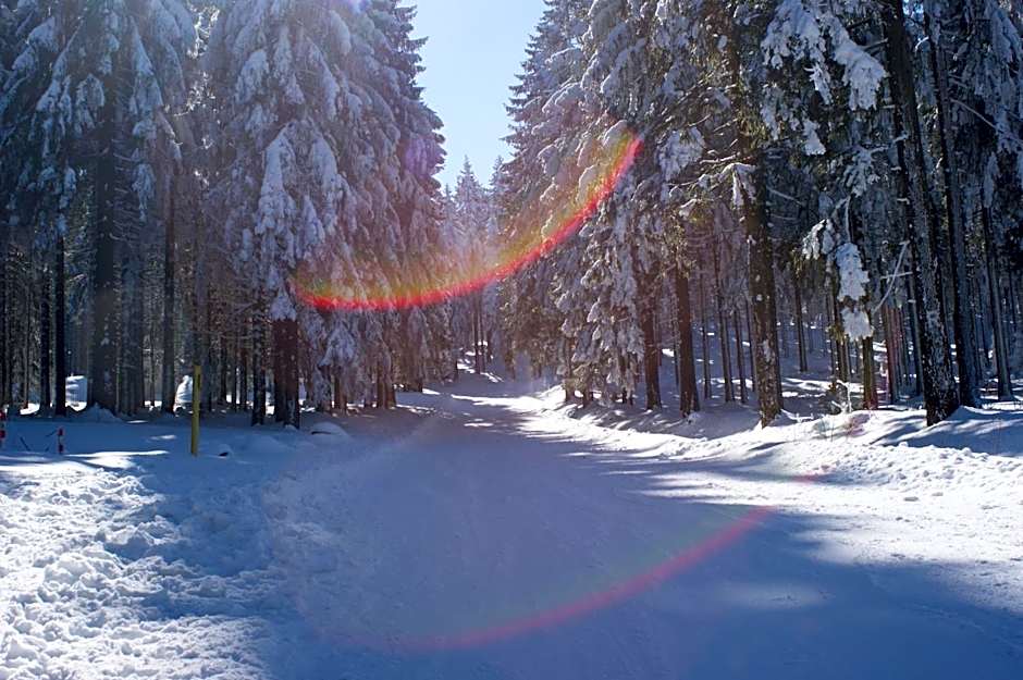 Hotel Haus Oberland