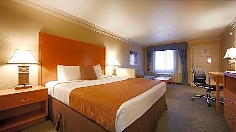 1 King Bed, Non-Smoking, High Speed Internet Access, Microwave, Refrigerator, Work Desk, Continental