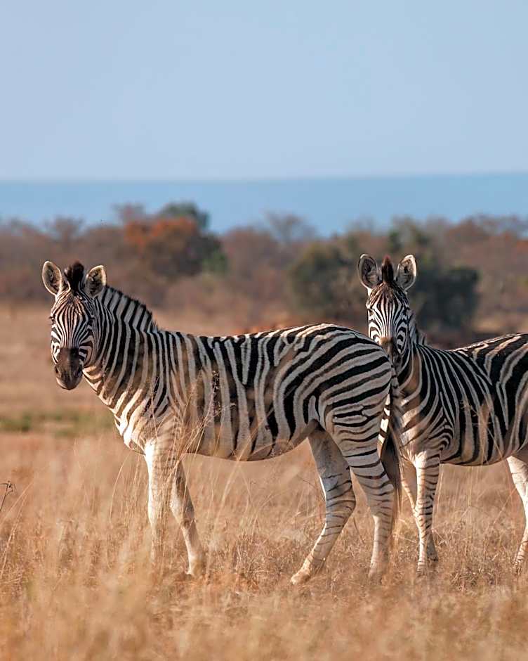 Shambala Private Game Reserve