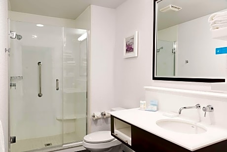 1K 2 Rm Suite Shwr Only W/Fireplace-Sofabd Ns