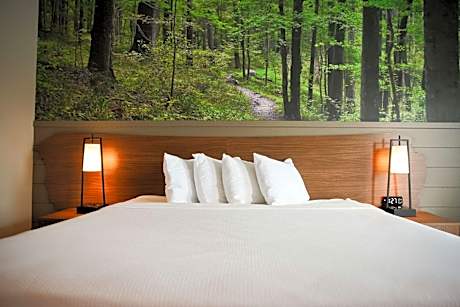 King Room with Roll-In Shower - Mobility Accessible