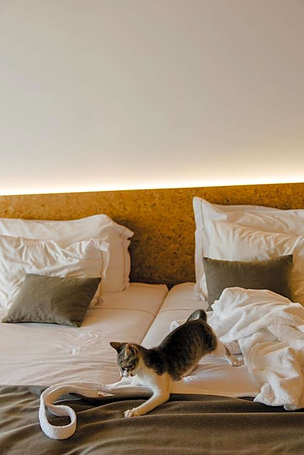 Canadiano Urban Nature Hotel