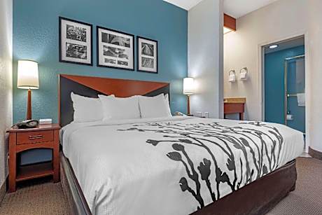 1 King Bed  No Smoking