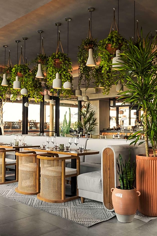 Senna House Scottsdale, Curio Collection by Hilton