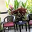 Kelapa Lovina Beach Villa
