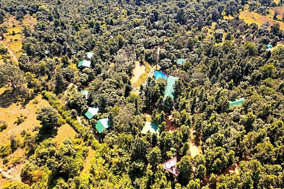 Kanha Jungle Camp