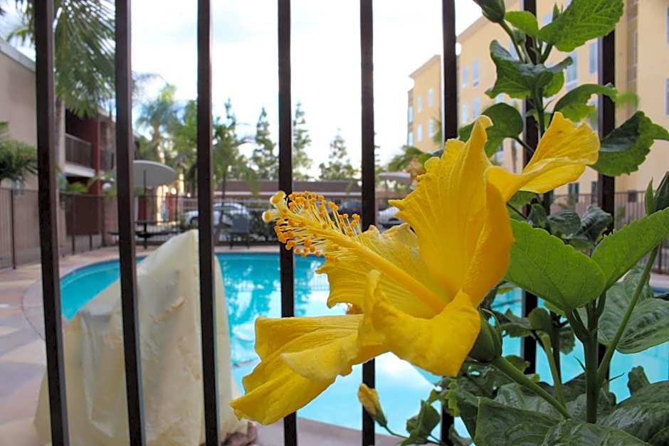 Budget Inn Anaheim near Disneyland Drive