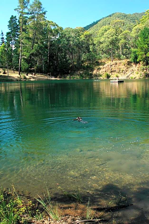 The Harrietville Snowline Hotel