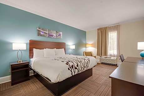 King Room - Accessible/Non Smoking