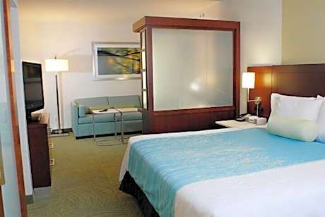 Studio, 1 King Bed with Sofa bed (Mobility Accessible, Tub) (1 King Bed and 1 Double Sofa Bed)