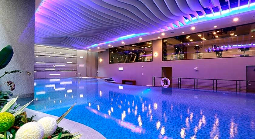 Golden Tulip - Aesthetics