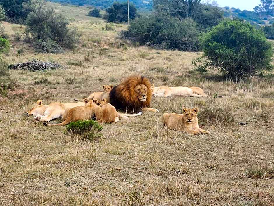 ParkView Safari Lodge
