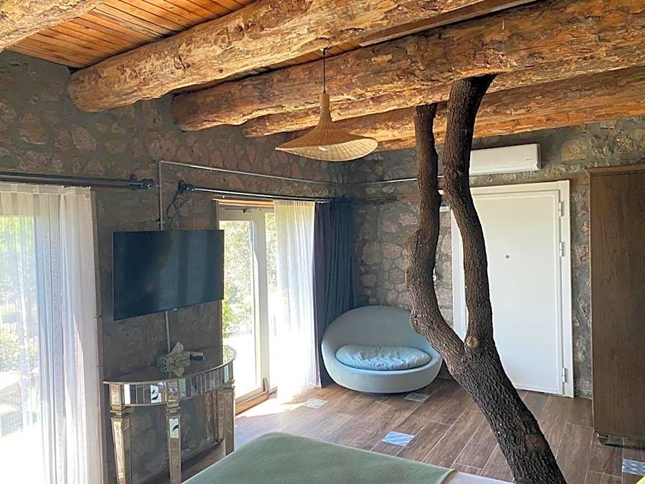 Assos Longevity Hotel