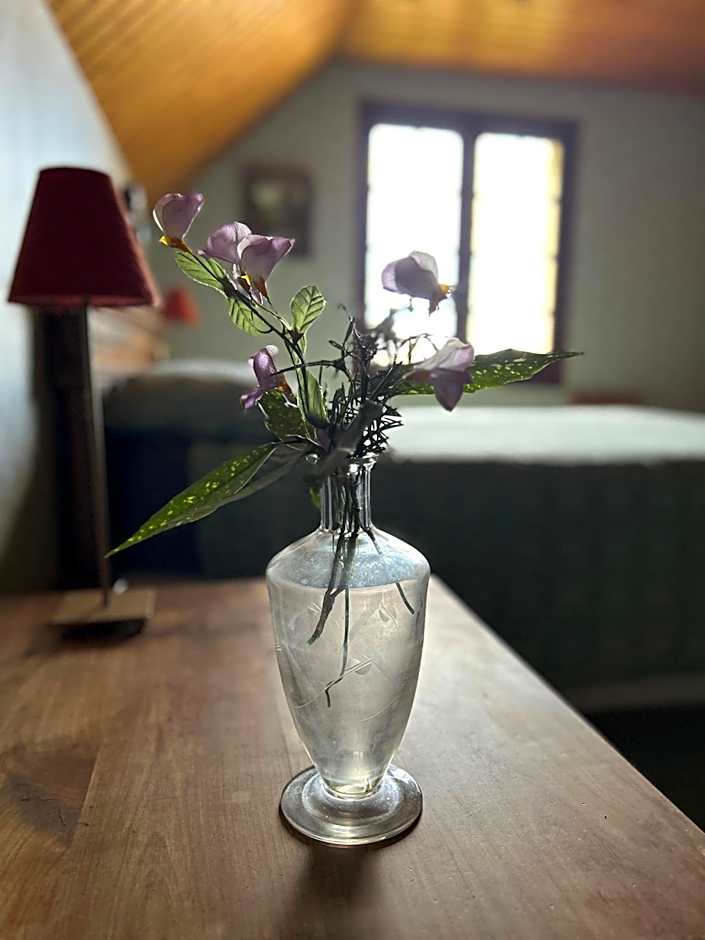 'Les Comètes' B&B